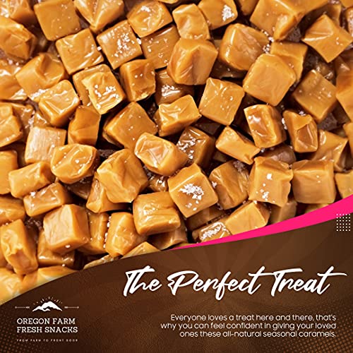 Oregon Farm Fresh Snacks Individually Wrapped Sea Salt and Vanilla Caramels, Soft Gluten-Free Chewy Candy, 16 oz